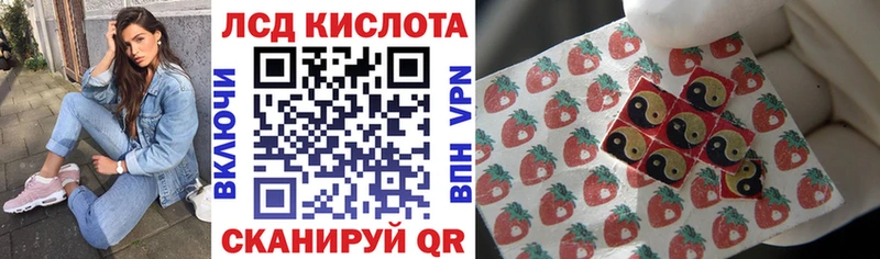 Марки N-bome 1,5мг  ОМГ ОМГ зеркало  Александров  где продают наркотики 